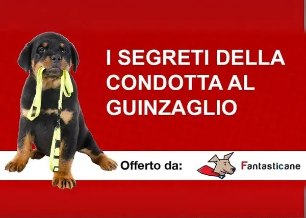 I Segreti della Condotta al Guinzaglio – Fantasticane
