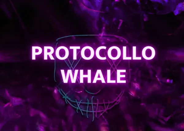 Protocollo Whale – Whalecot (Michele Cotti)