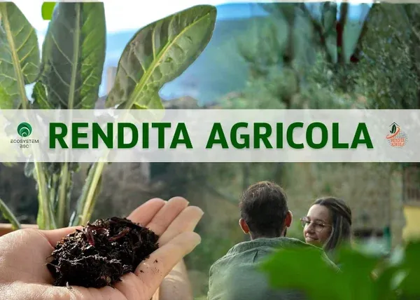Rendita Agricola – Ecosystem BSC