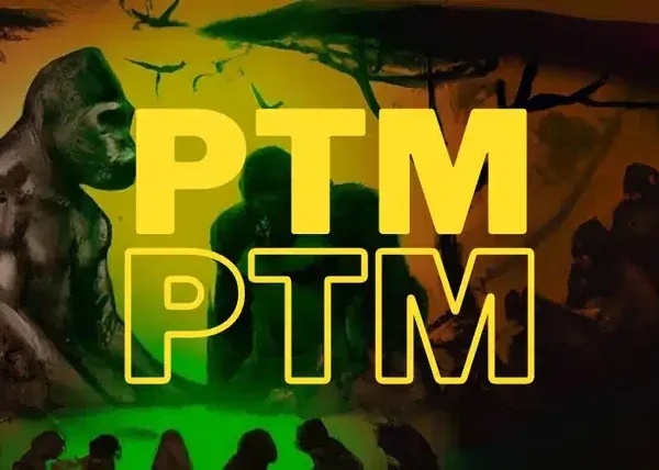 The Professional Club (PTM) – Gianluca Ambrosi